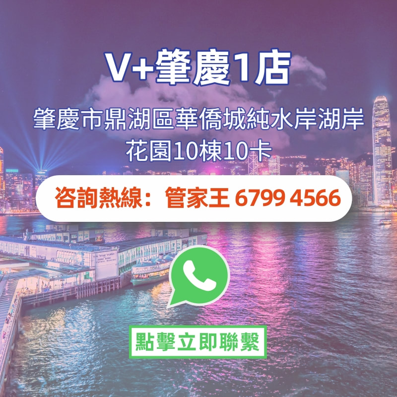 V+肇慶1店